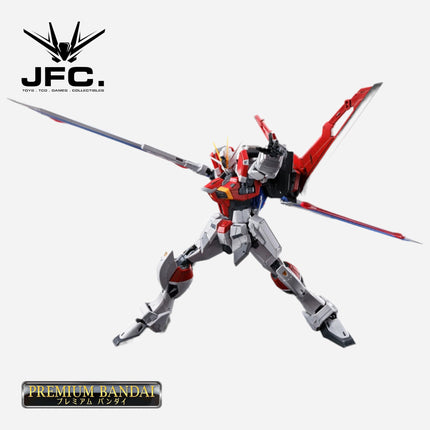 RG 1/144 SWORD IMPULSE GUNDAM