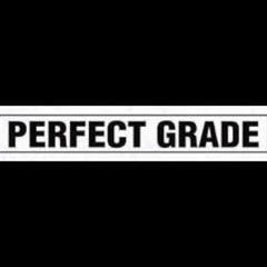 Collection image for: Perfect Grade (PG)