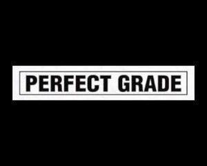 Collection image for: Perfect Grade (PG)