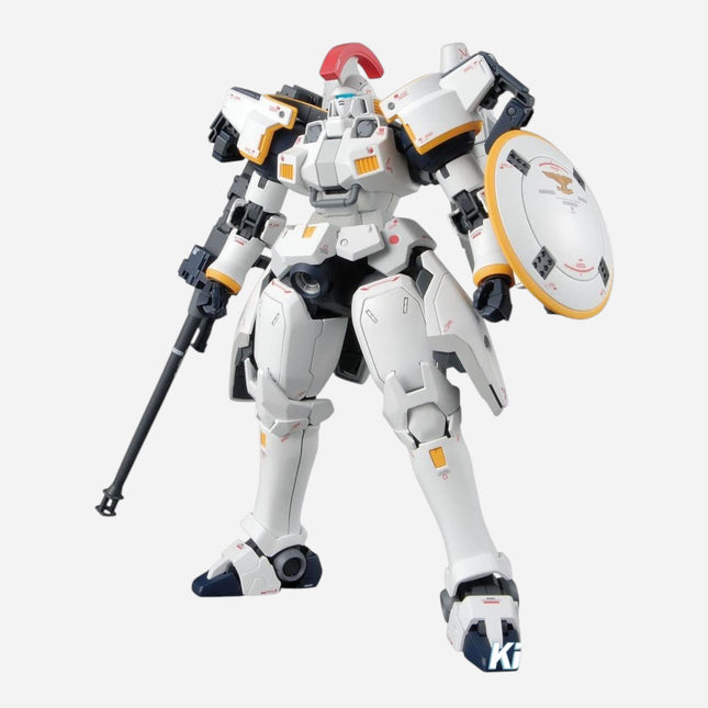 MG 1/100 TALLGEESE EW