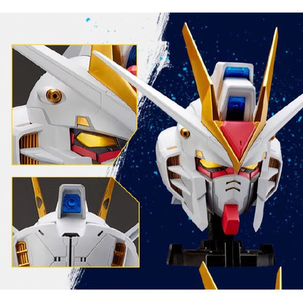 BN HEAD COLLECTION VOL.2 - STRIKE FREEDOM GUNDAM