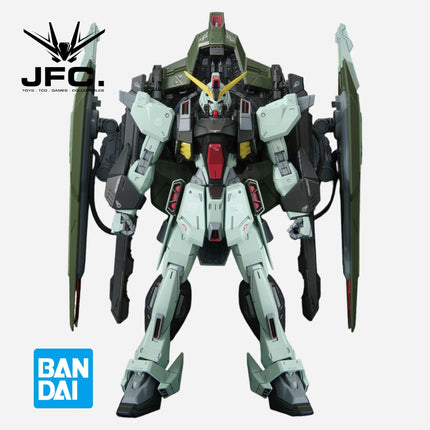 FM 1/100 FORBIDDEN GUNDAM