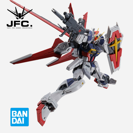 RG 1/144 FORCE IMPULSE GUNDAM SPEC II