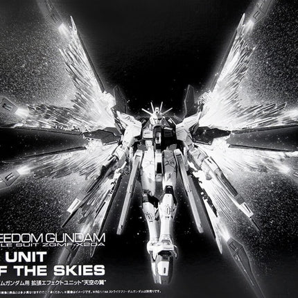 RG 1/144 WING OF THE SKIES (EXPANSION EFFECT UNIT FOR STRIKE FREEDOM GUNDAM)